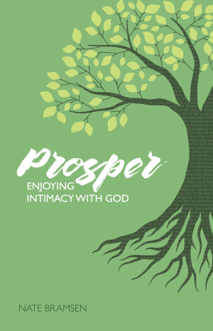 Prosper : Enjoying Intimacy with God